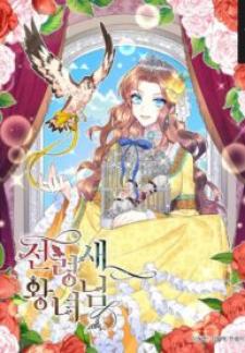 Cavier Falcon Princess - Manga2.Net cover