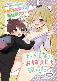 Darashinai Onee-San O Kaitai - Manga2.Net cover