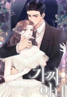 Fake Wife - Manga2.Net cover