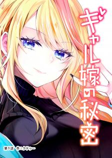 Gal Yome No Himitsu - Manga2.Net cover