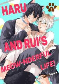 Haru To Rui No Nyanderful Love Life! - Manga2.Net cover
