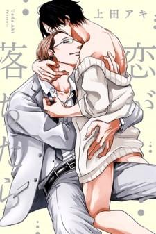 If Love Falls On You - Manga2.Net cover