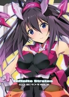 Infinite Stratos - Infinite Stratos Book Direct From The Warehouse (Artbook) - Manga2.Net cover