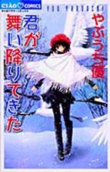 Kimi Ga Mai Orite Kita - Manga2.Net cover