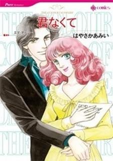 Kimi Nakute - Manga2.Net cover