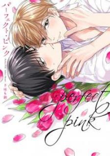 Perfect Pink - Manga2.Net cover