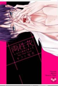 Ryouseika Majiwaru Unmei No Tsugai - Manga2.Net cover