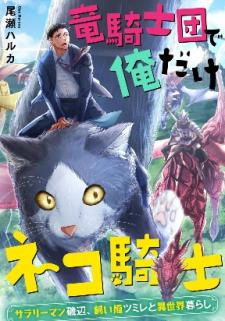 Ryuu Kishi-Dan De Ore Dake Neko Kishi - Manga2.Net cover