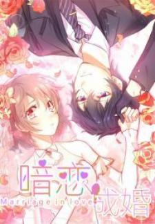 Secret Love And Secret Marriage - Manga2.Net cover