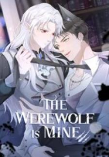The Werewolf Is Mine - Manga2.Net cover