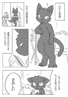 White Cat And Black Cat - Manga2.Net cover