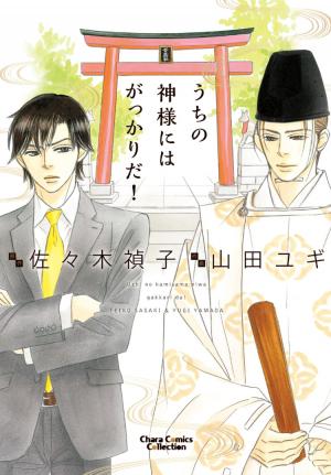 Uchi No Kami-Sama Ni Wa Gakkari Da! - Manga2.Net cover