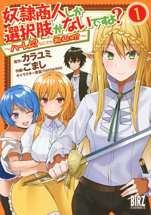 Dorei Shounin Shika Sentakushi Ga Nai Desu Yo? ~Harem? Nani Sore Oishii No?~ - Manga2.Net cover