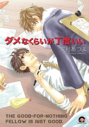 Dame Na Kurai Ga Choudoii - Manga2.Net cover