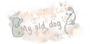 My Young Cat And My Old Dog - Manga2.Net cover