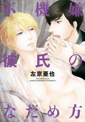 Fukigen Kareshi No Nadamekata - Manga2.Net cover