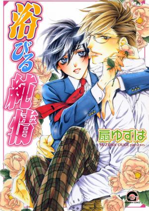 Abiru Junjou - Manga2.Net cover