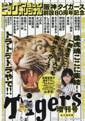 Hanshin Tigers Sousetsu 80 Shuunen Kinen Zoukan - Manga2.Net cover