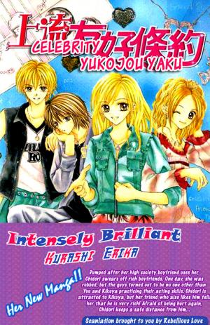 Celebrity Yuukoujouyaku - Manga2.Net cover