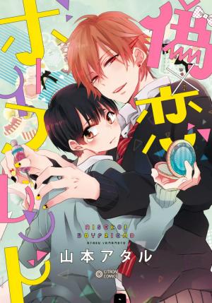 Nise X Koi Boyfriend - Manga2.Net cover