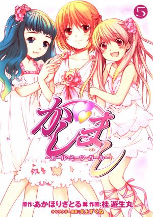 Kashimashi - Girl Meets Girl - Manga2.Net cover