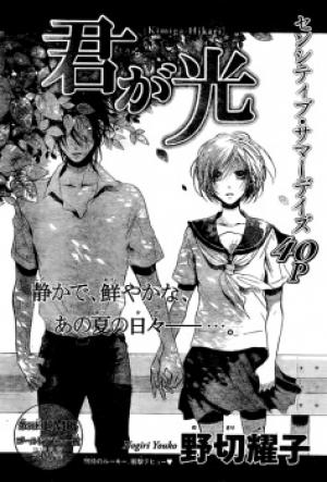 Kimi Ga Hikari - Manga2.Net cover