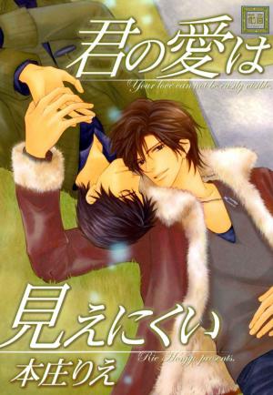 Kimi No Ai Wa Mienikui - Manga2.Net cover