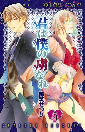 Kimi Wa Boku No Toriko Nare - Manga2.Net cover