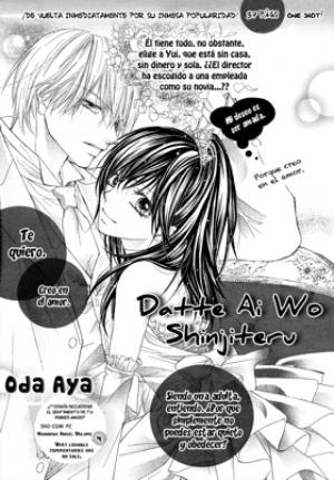 Datte Ai Wo Shinjiteru - Manga2.Net cover