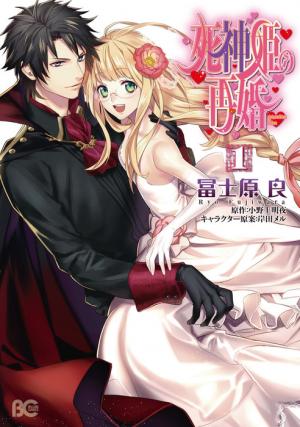 Shinigamihime No Saikon (Novel) - Manga2.Net cover