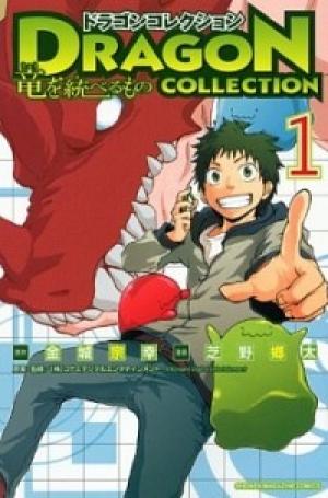 Dragon Collection - Ryuu O Suberumono - Manga2.Net cover