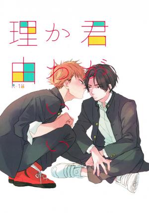 Kimi Ga Kawaii Riyuu - Manga2.Net cover