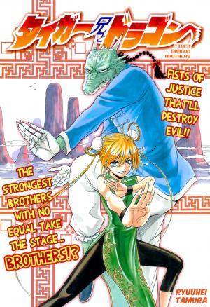 Tiger Dragon Brothers - Manga2.Net cover