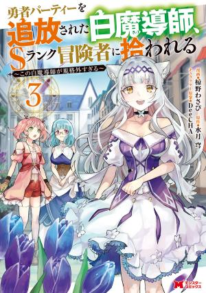 The White Mage Who Was Banished From The Hero's Party Is Picked Up By An S Rank Adventurer~ This White Mage Is Too Out Of The Ordinary! - Manga2.Net cover