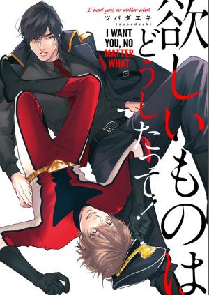 Hoshii Mono Wa Doushitatte - Manga2.Net cover
