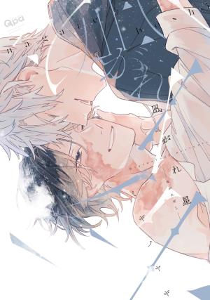 Falling Star - Manga2.Net cover
