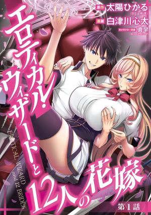 Erotical Wizard With Twelve Brides - Manga2.Net cover