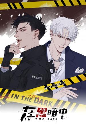 In The Dark - Manga2.Net cover