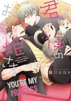 You Are My Princess - Manga2.Net cover
