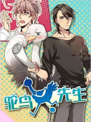 Mr. Ostrich - Manga2.Net cover