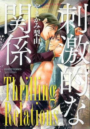 Shigekiteki Na Kankei - Manga2.Net cover
