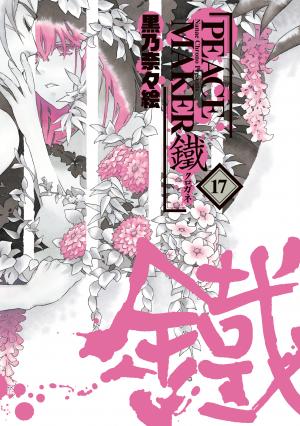 Peace Maker Kurogane - Manga2.Net cover