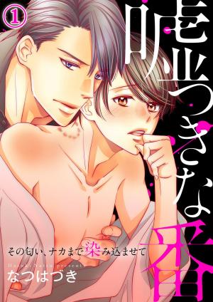 Usotsuki Na Tsugai - Manga2.Net cover