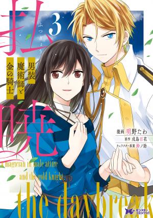 Daybreak: The Crossdressing Female Magician And The Golden Knight - Manga2.Net cover