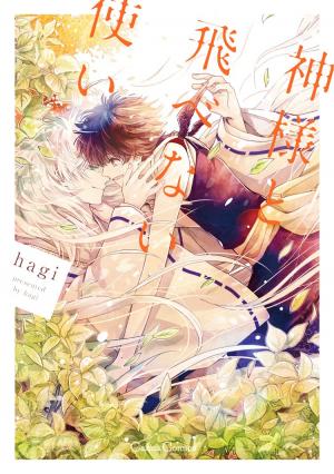 The God And The Flightless Messenger - Manga2.Net cover
