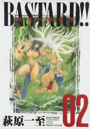 Bastard!! Complete Edition - Manga2.Net cover
