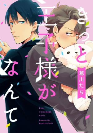 Kitto Oujisama Ga Nante - Manga2.Net cover