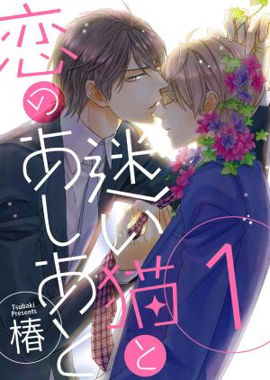 Mayoi Neko To Koi No Ashiato - Manga2.Net cover